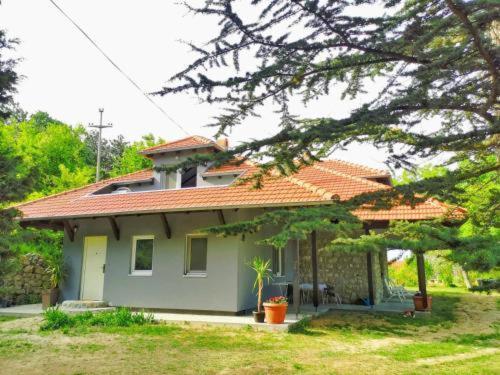 Kuca Za Odmor-Zelena Oaza Hotell Golubac Exteriör bild
